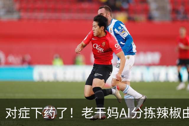 对症下药了！老干妈AI分拣辣椒由600余人减至48人，人大代表提出机器替岗缴社保，舆论争议不断