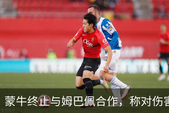 蒙牛终止与姆巴佩合作，称对伤害中国人民感情的言行零容忍